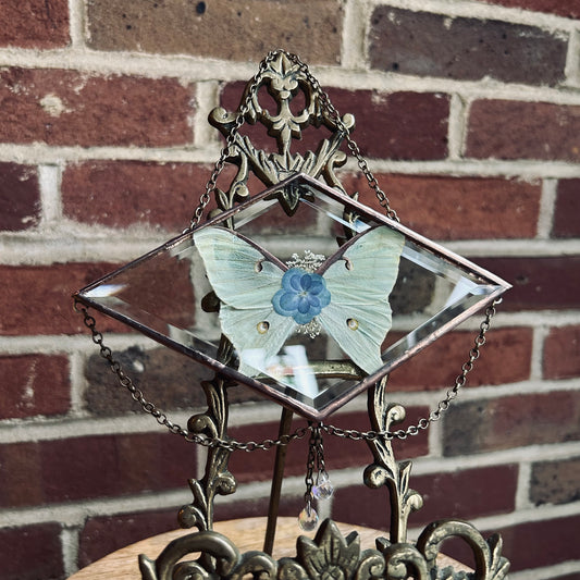Luna Moth Suncatcher/Wallhanging 1