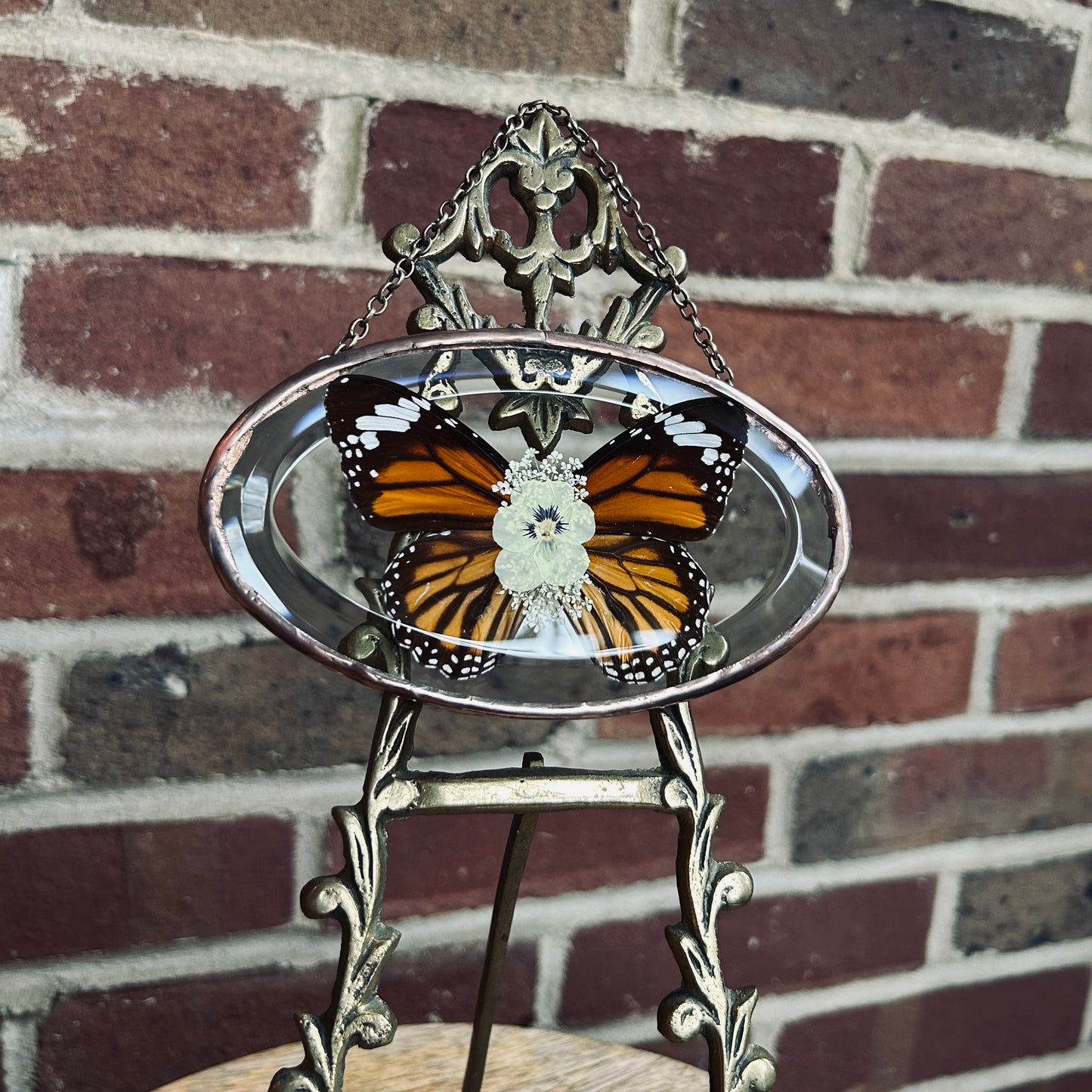 Oval Monarch Suncatcher/Wallhanging 3