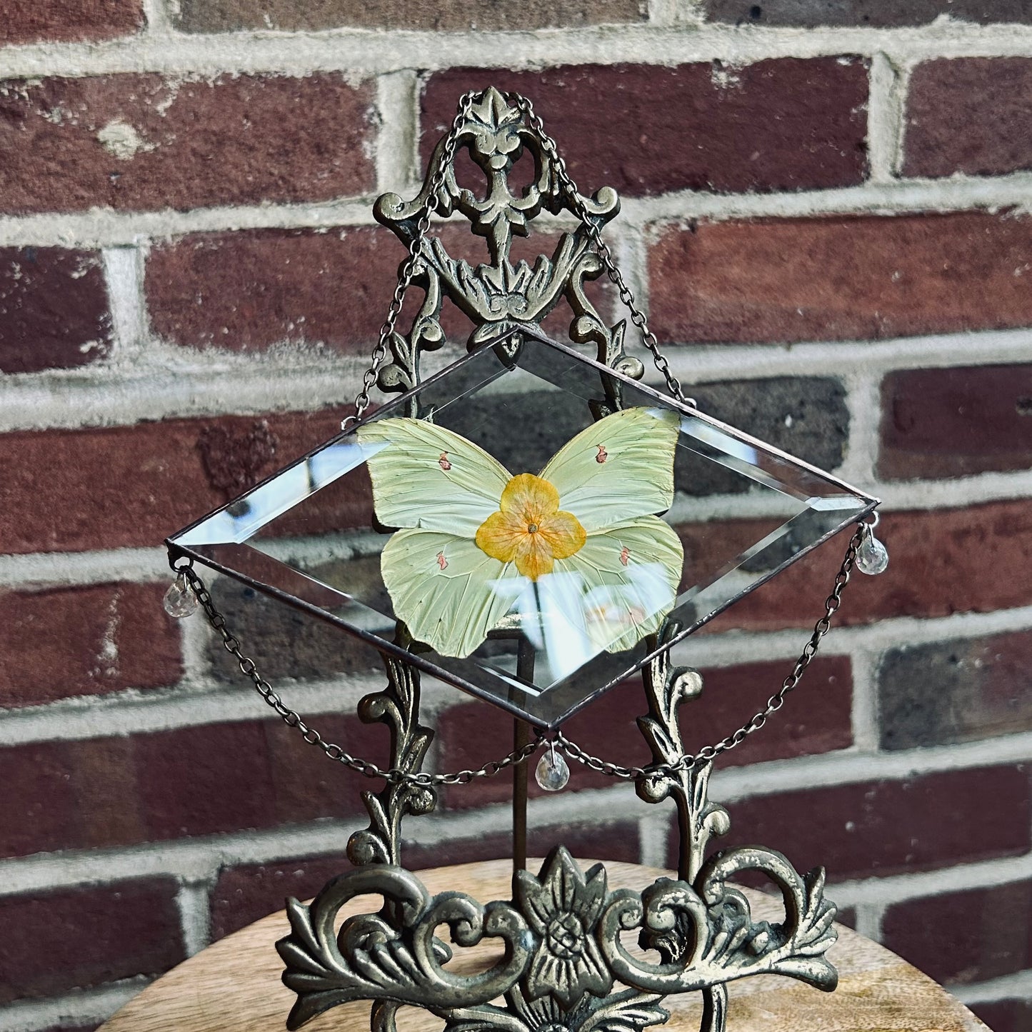 Medium Suncatcher/Wallhanging 6