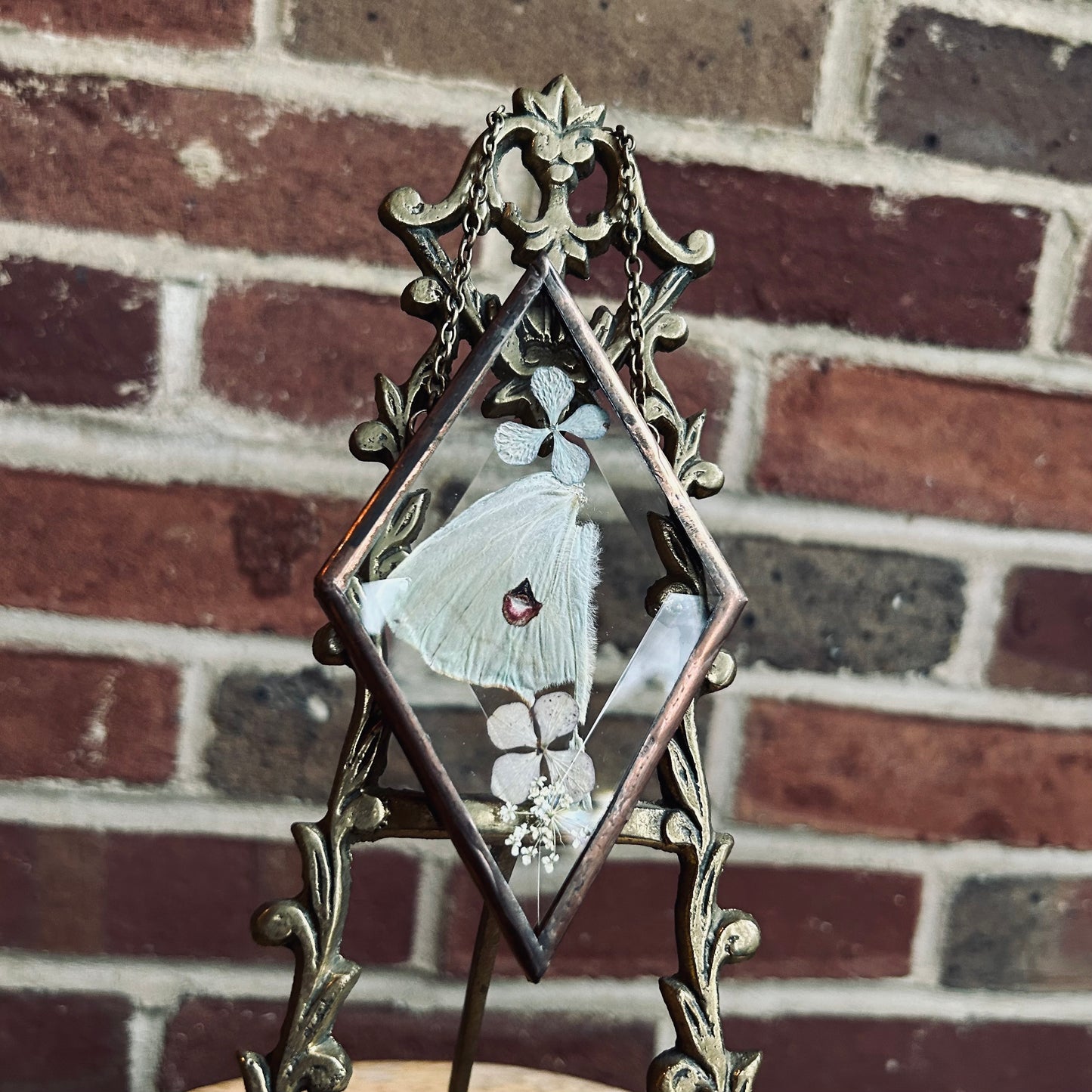 Luna Wing Suncatcher/Wallhanging 2