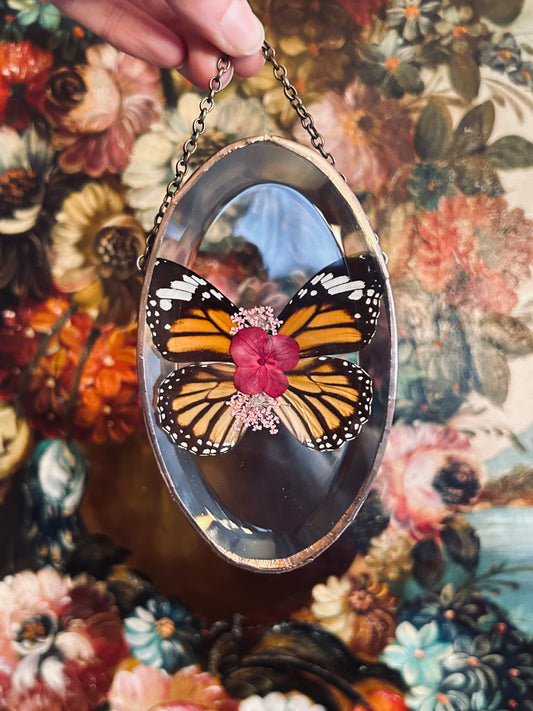 Oval Monarch Suncatcher/Wallhanging 4
