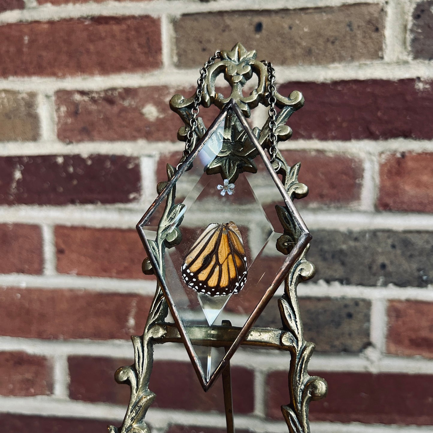 Monarch Wing Suncatcher/Wallhanging 5