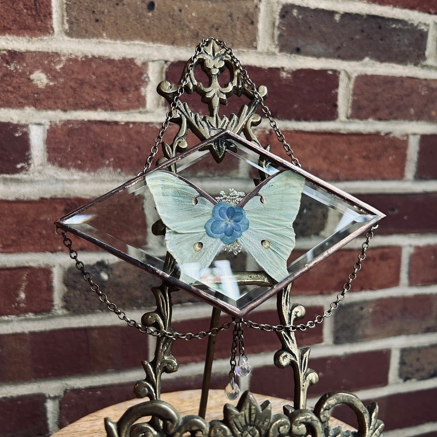 Luna Moth Suncatcher/Wallhanging 1