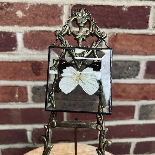 Square Suncatcher 2