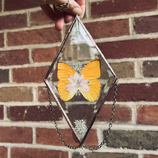 Medium Suncatcher/Wallhanging 1