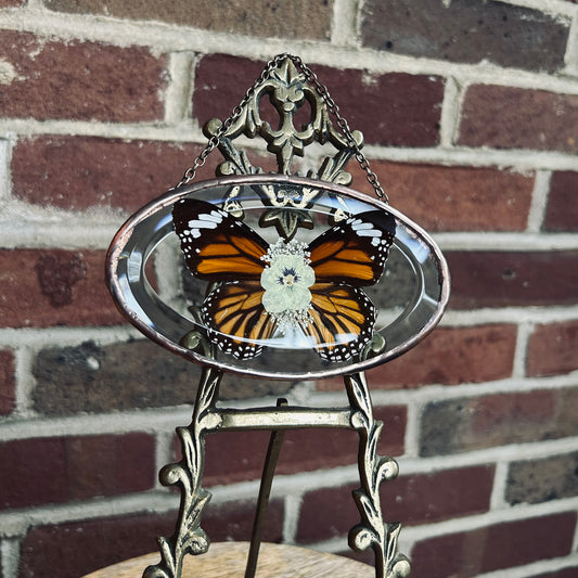 Oval Monarch Suncatcher/Wallhanging 3