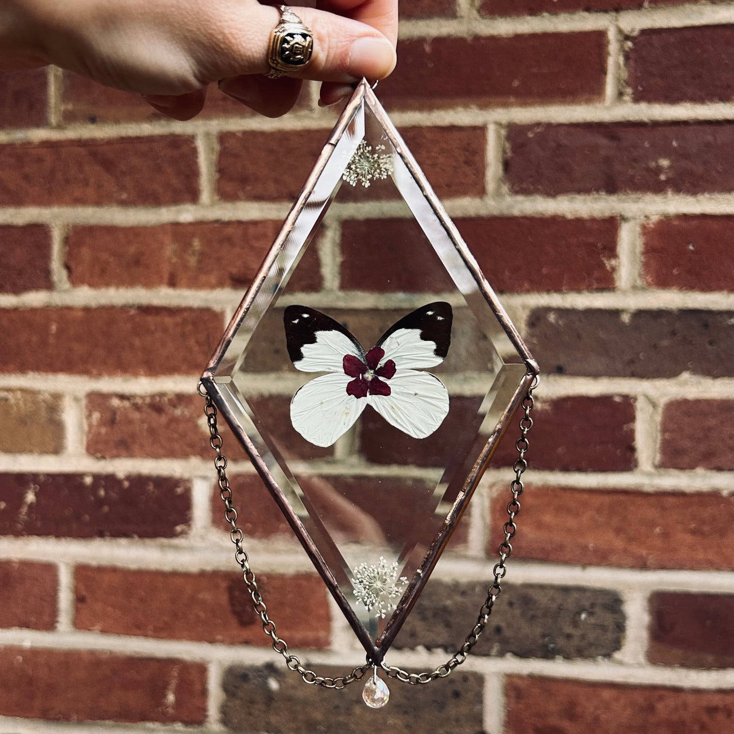 Medium Suncatcher/Wallhanging 5