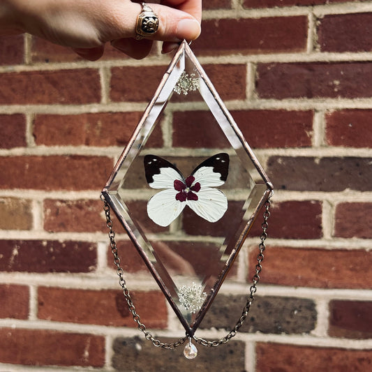 Medium Suncatcher/Wallhanging 5