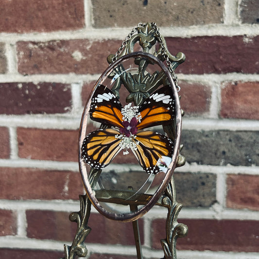 Oval Monarch Suncatcher/Wallhanging 1
