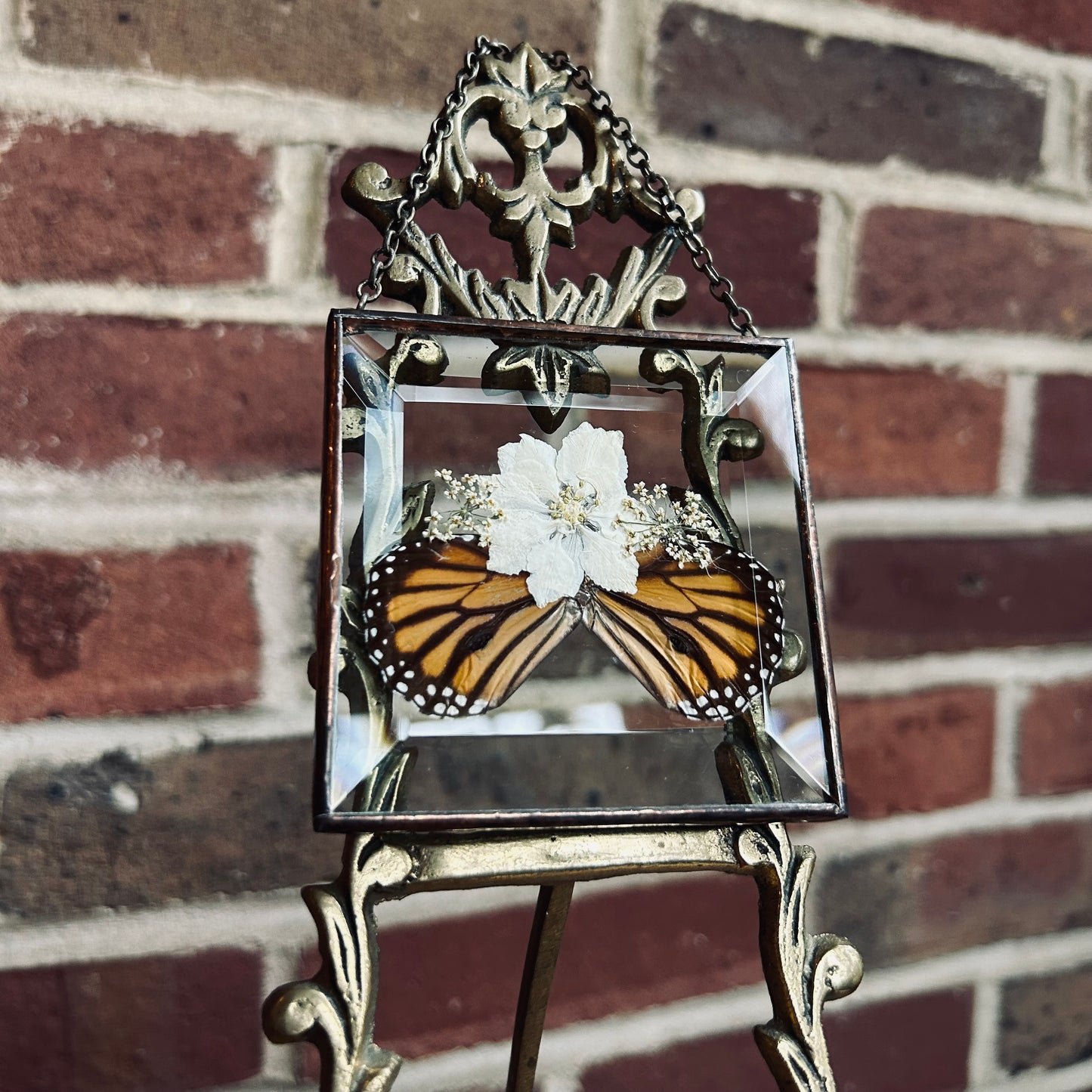 Half Monarch Suncatcher/Wallhanging